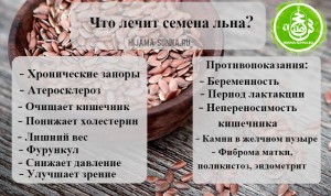 Семена льна чем полезны применения Семена льна чем полезны применения